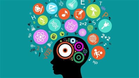 Illustrazione di diverse modalità di apprendimento