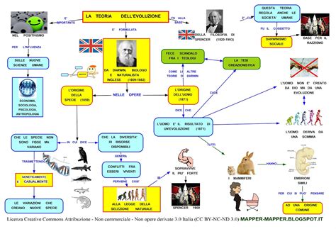 Mappa concettuale sull'evoluzione delle affinità elettive