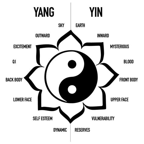 Illustrazione delle energie Yin e Yang con riferimento al panda