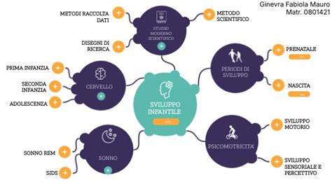Diagramma delle zone erogene nello sviluppo psicosessuale infantile