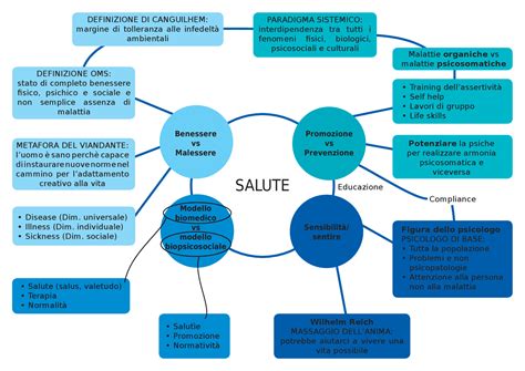 mappa concettuale dei servizi di salute mentale