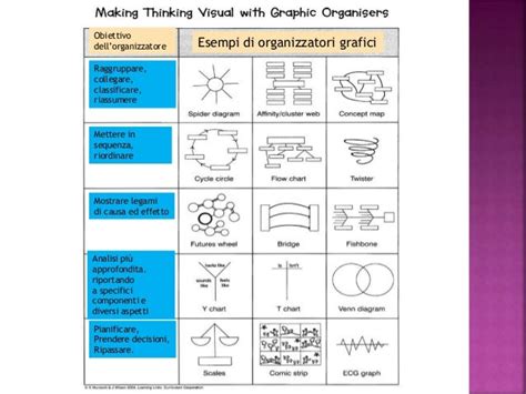 Esempi di organizzatori grafici