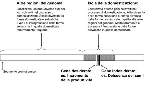 Rappresentazione schematica delle comorbilità associate all'alessitimia