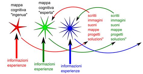 Rappresentazione schematica di una mappa cognitiva