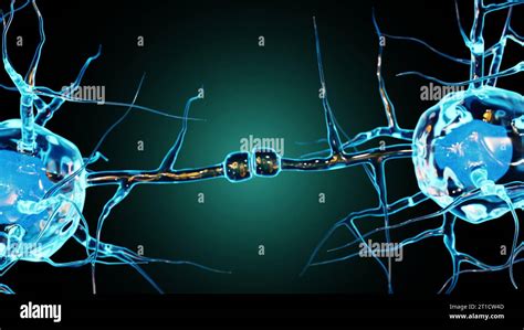 Illustrazione di un neurone e delle sue sinapsi