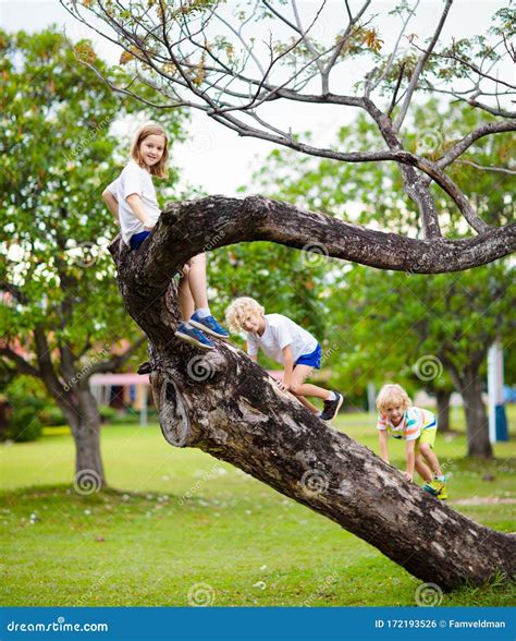Bambini che si arrampicano su una struttura di gioco all'aperto