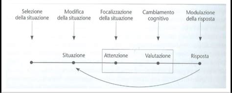 Diagramma del modello di regolazione emotiva di James J. Gross
