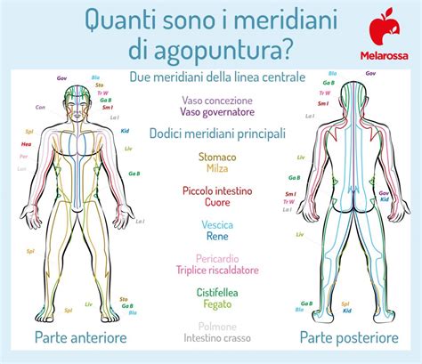 Schema dei meridiani di agopuntura e dei punti chiave