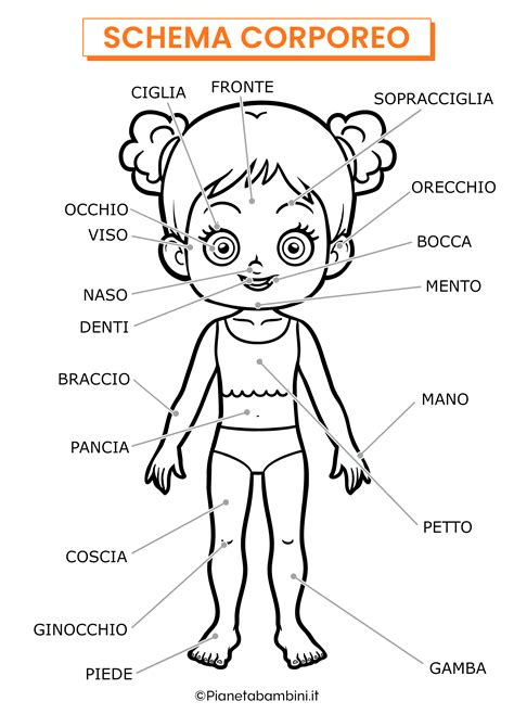 Schema corporeo e postura