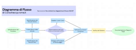 diagramma di flusso dei curriculum del dottorato