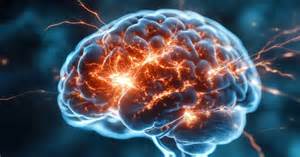 Cervello che elabora immagini