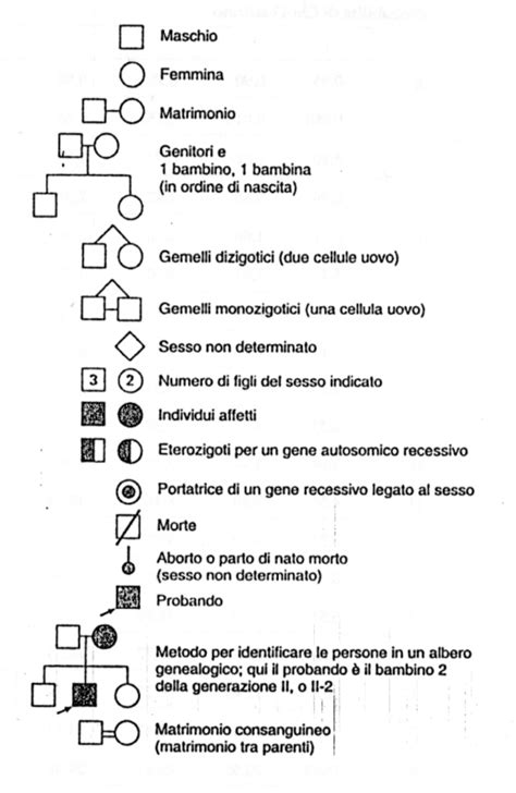 Albero genealogico stilizzato con simboli che rappresentano fattori genetici e ambientali