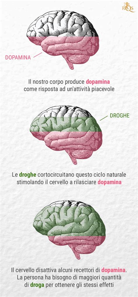 Diagramma che illustra il legame tra dopamina, ricompensa e comportamento di acquisto