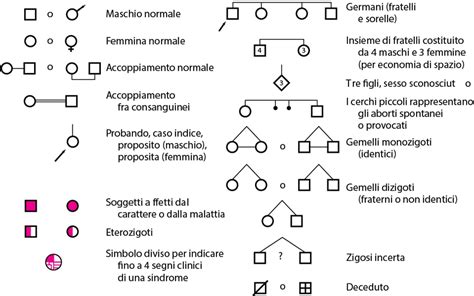 Albero genealogico con simboli di cura e critica