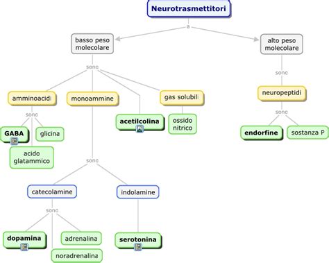 Schema della sintesi dei neurotrasmettitori a partire dagli amminoacidi