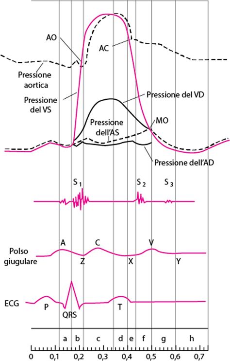 Diagramma dell'effetto della pressione sull'ossigeno nel sangue