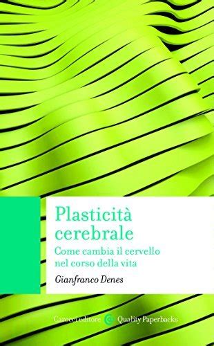 Infografica che illustra la plasticità cerebrale nel corso della vita