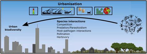 Illustrazione astratta che rappresenta la complessità delle interazioni umane in un gruppo