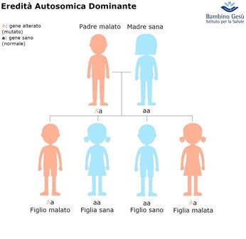 Pedigree che illustra l'ereditarietà autosomica recessiva