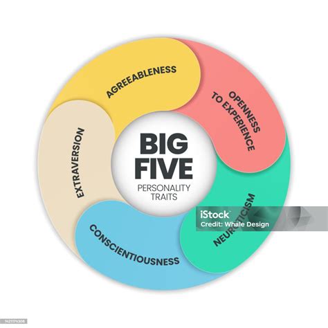 Diagramma a torta che illustra i 