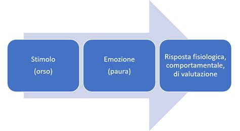 Diagramma che illustra le componenti di un'emozione: stimolo, elaborazione cognitiva, risposta fisiologica, espressione comportamentale.