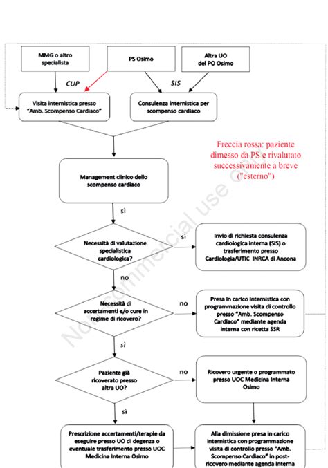 Diagramma del percorso di un paziente in Pronto Soccorso