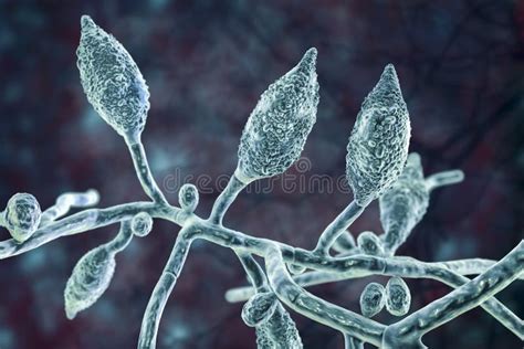 Concetto artistico di funghi microscopici che infettano la pelle umana