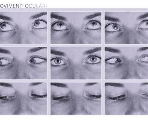 Diagramma che illustra i diversi tipi di movimenti oculari: inseguimento lento, saccadi, sguardo fisso.