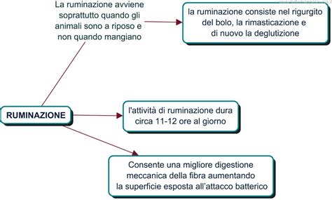 Schema che illustra il ciclo vizioso della ruminazione: evento negativo -> impotenza -> ruminazione -> maggiore impotenza
