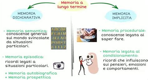 grafico che illustra la differenza tra memoria a breve e lungo termine