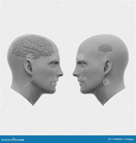 Illustrazione di due cervelli sincronizzati durante un'interazione
