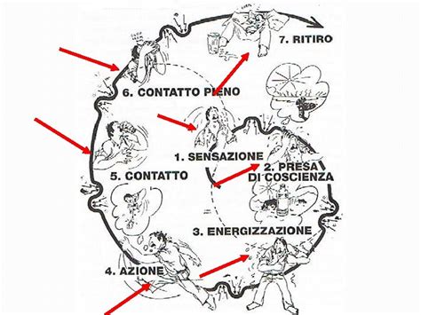 Ciclo del Contatto Gestaltico