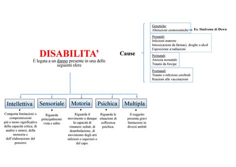 Schema che illustra i fattori di rischio prenatali e perinatali per la disabilità intellettiva