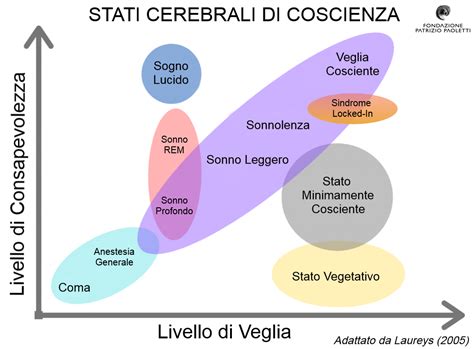 Rappresentazione grafica della mente con livelli di coscienza