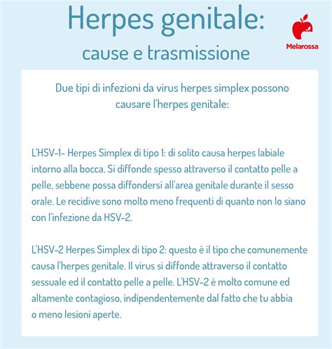 Schema di trasmissione dell'herpes genitale