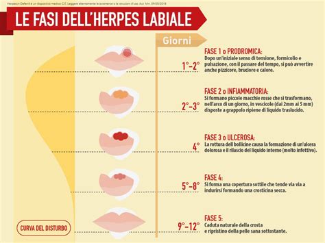 Fasi di sviluppo delle lesioni da herpes genitale