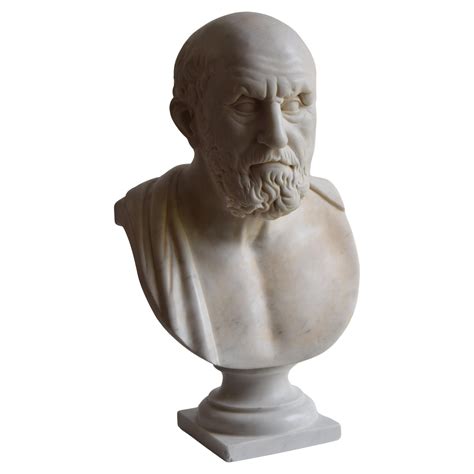 Busto di Ippocrate