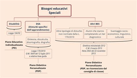 Infografica sui bisogni educativi speciali