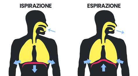 Infografica con i passaggi della tecnica di respirazione diaframmatica