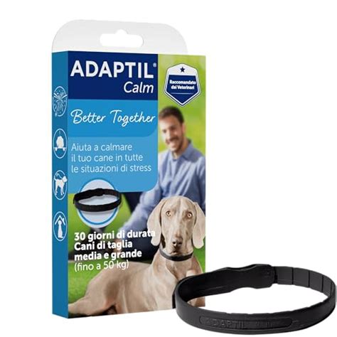 Collare antistress per cani