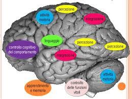 Diagramma che illustra le funzioni cognitive compromesse dalla demenza (memoria, linguaggio, attenzione, ragionamento, orientamento, personalità, comportamento)