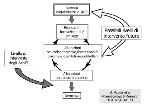Schema illustrativo della cascata amiloidea nella Malattia di Alzheimer