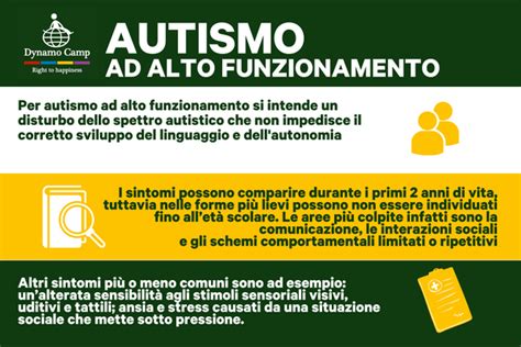 Infografica che illustra le diverse caratteristiche dell'autismo ad alto funzionamento, con icone rappresentative per ogni tratto
