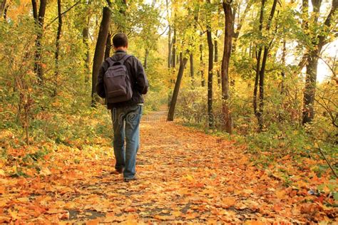 Una persona che cammina lungo un sentiero sereno in un bosco
