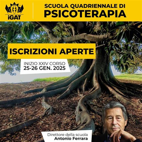 Diagramma che illustra la struttura quadriennale di un corso di specializzazione in psicoterapia