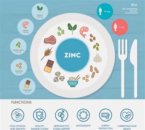 Diagramma che illustra le funzioni dello zinco nel corpo umano