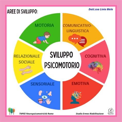 Diagramma che illustra le aree dello sviluppo psicomotorio (motoria, cognitiva, linguistica, socio-emotiva)
