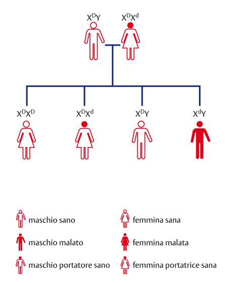 Infografica sul legame madre-bambino