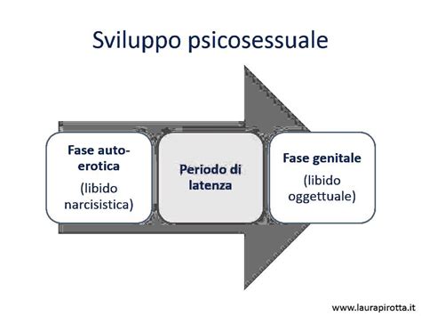 Illustrazione concettuale di libido e investimento oggettuale