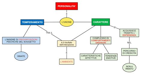 Schema che illustra la continua interazione tra individuo, temperamento, carattere ed esperienze nell'arco della vita